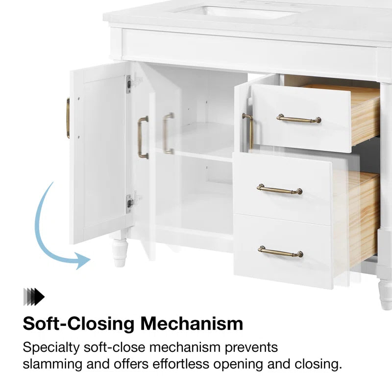 Burdick 42 In Single Off Centered Sink Bathroom Vanity